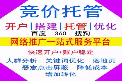 行业领先SEM托管代运营案例
